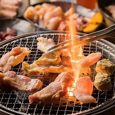 【人気No.1】名物炭火鶏焼肉!炭火鶏焼肉コース〈全17品〉120分飲み放題付き4800円