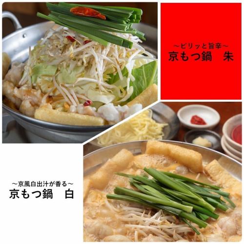 【ぷりぷりのホルモン、シャキシャキの野菜】"人気NO.1"京もつ鍋白・朱＜白：税込1,520円、朱：1,880円＞