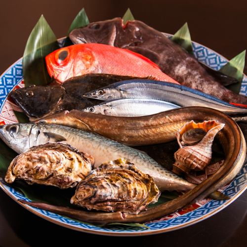 豐洲直送的新鮮海鮮