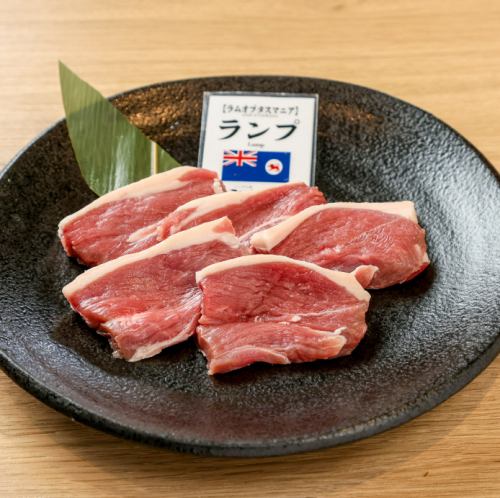 生ラムランプ