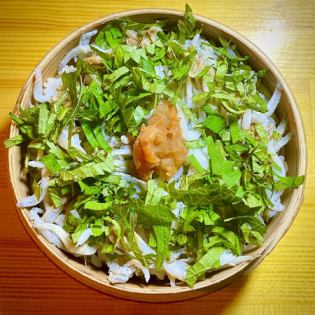 梅紫蘇しらすごはん