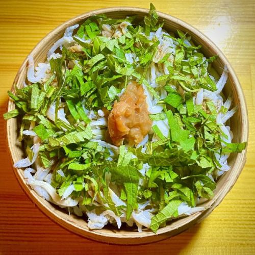 梅紫蘇しらすごはん