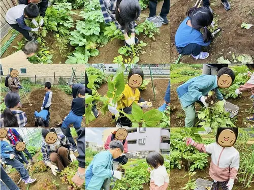 【思い出作り】体験系イベント◆週末開催