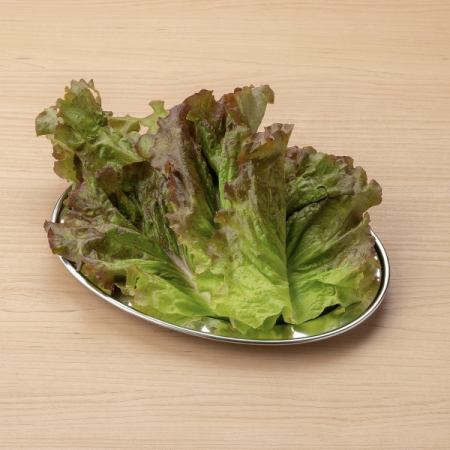 包み野菜チシャ菜