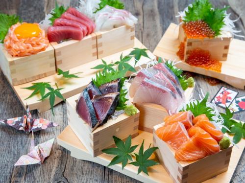Sashimi [tuna / sea bream / bonito tataki / salmon / yellowtail ... etc.]