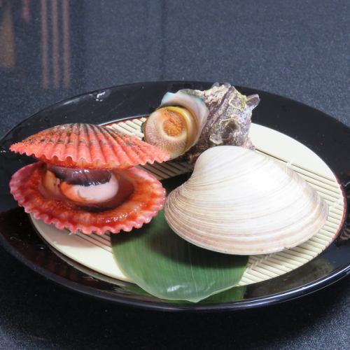 A set of 4 types of live shellfish!