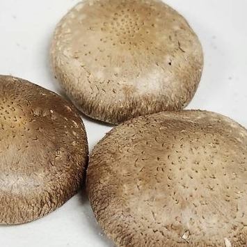 3 grilled salted shiitake mushrooms