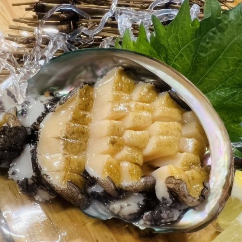 Live abalone sashimi