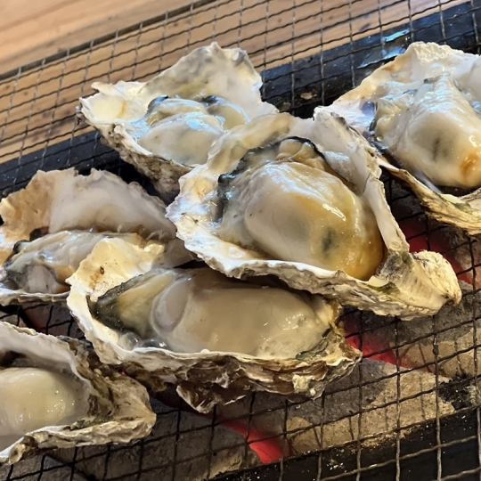 One plate of oysters (1kg) costs 1,200 yen (excluding tax)!!