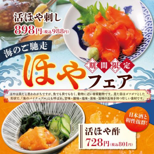 【期間限定】ほやフェア