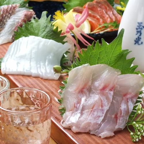 Assortment of five carefully selected sashimi dishes