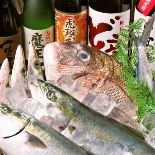 マグロは「生」！市場仕入れの鮮魚を日替りでご用意★