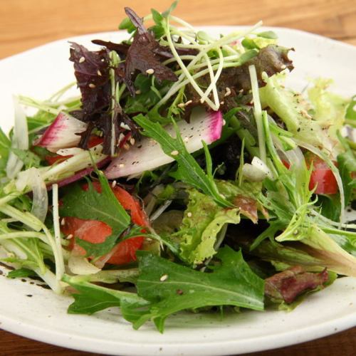 Kikumatsu salad (green salad)