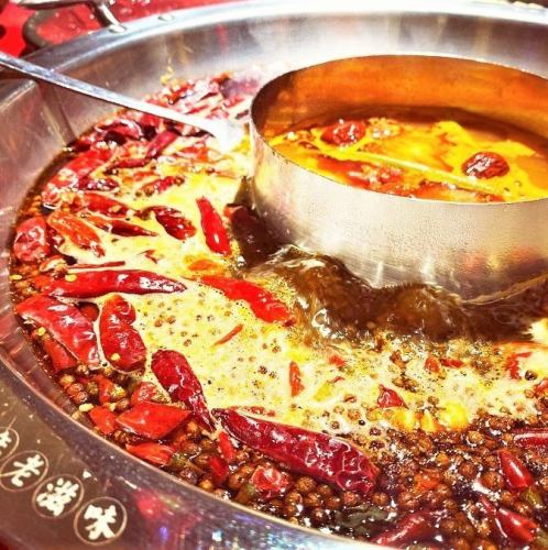 半年で成都(中国)に20店舗近く展開した有名火鍋店が柏に進出！発汗！スパイスたっぷりの旨辛の薬膳スープ