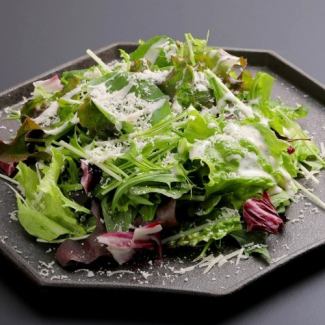 パルミジャーノレッジャーノシーザーサラダ