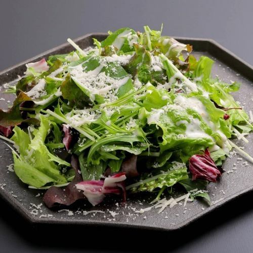 パルミジャーノレッジャーノシーザーサラダ