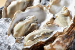 Raw oysters from Akkeshi, Hokkaido