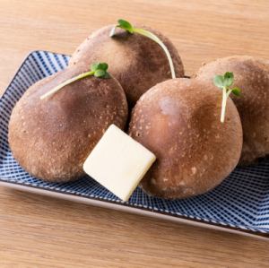 Large thick shiitake mushrooms from Tottori Prefecture