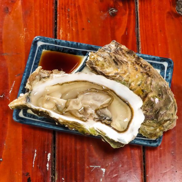 大船・岩手直送の鮮度抜群 生牡蠣