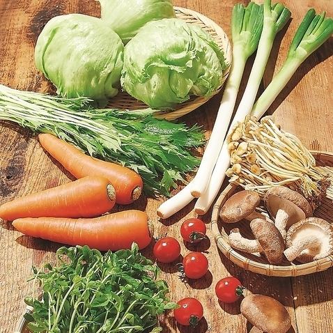 健康志向の野菜料理！