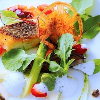 【シーズンコース】前菜、季節の魚料理、メイン、デザートなど全7品