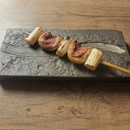 Duck and green onion skewers