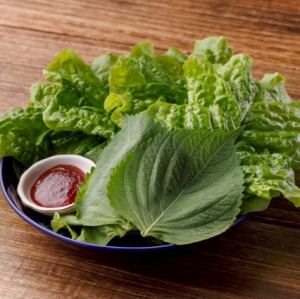 상추와 참깨 잎