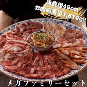 圧巻メガファミリーセット 【総重量1,610g】