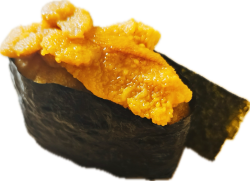 Sea urchin gunkan