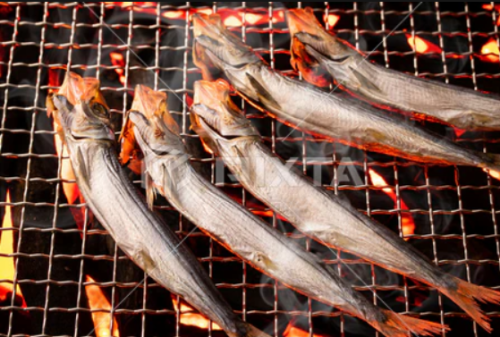 Grilled sardines