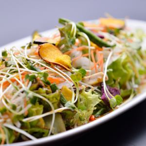 Rakugun Salad