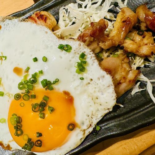 Imabari teppanyaki with young chicken skin and green onions