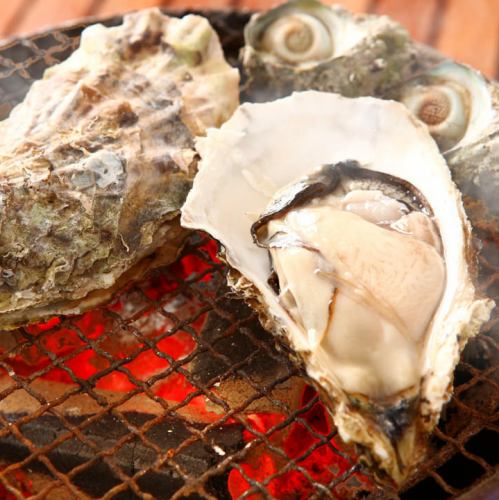 直接从合同渔业“海牛奶”牡蛎全明星球场4980日元(含税)【+ 2,000日元2H饮用♪】