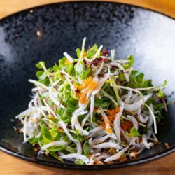 しらすの薬味サラダ