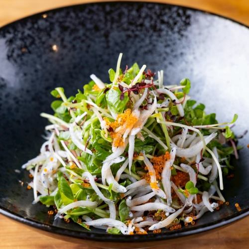 しらすの薬味サラダ