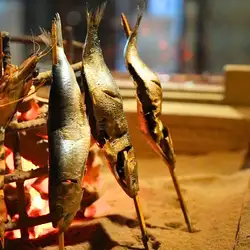 肥沙丁魚