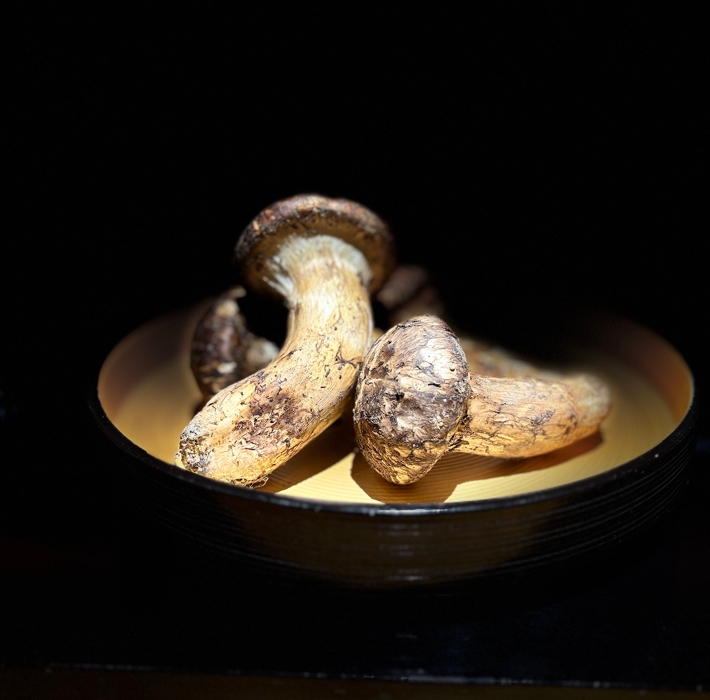 完全予約制のコースで贅沢なひととき