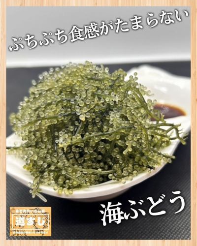 【🌺說到沖繩，就是這個！口感清爽的海葡萄🥢】

如果你來沖繩觀光，至少應該體驗一次！
海葡萄是沖繩的特色食材，口感爽脆，略帶鹹味，非常受歡迎！

它本身就很好吃，但與含有shekwasha的柚子醋搭配也堪稱完美。
這道經典的沖繩菜餚深受當地人和遊客的喜愛！

享受輕鬆愜意的海島時光，品嚐美味的沖繩佳餚。

如果您想在宮古島尋找居酒屋，請前往“道筋，一家美味的魚和肉餐廳”！本店以新鮮的海鮮和精選的肉類料理，配以正宗的日本料理，讓您盡享宮古島獨特的風味。這個舒適的空間非常適合舉辦宴會、女生聚會或觀光用餐。請享用使用當地食材烹調的招牌菜餚，度過一段美好的時光。

如果您在宮古島尋找居酒屋，請來到「魚和肉美妙美味屋道筋」！精心烹調的新鮮海鮮料理、精選的肉類料理，搭配正宗的日本料理技法，讓您盡情享受宮古島的獨特風味。舒適的空間非常適合舉辦派對、女性聚會以及觀光期間的用餐。請盡情享受我們充分利用當地物產的自豪美食。

#宮古島美食 #宮古島居酒屋 #宮古島日本料理 #海島美食 #宮古牛肉 #海鮮居酒屋 #宮古島之旅 #沖繩居酒屋 #宮古島晚餐 #美食宮古島 #宮古島居酒屋 #宮古島