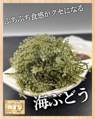 【🐚✨ぷちぷち食感がクセになる！海ぶどう✨🌿】

全国から厳選した食材の中でも、特に人気の一品がこちら！
みずみずしく弾けるぷちぷち食感が魅力💚🌊

口に入れた瞬間、プチッとはじける食感と磯の香り、ほどよい塩味が広がり、
シンプルなのに満足感たっぷりの贅沢な味わいです😋✨

さっぱりしているので、お刺身の合間や箸休めにもぴったり🥢日本酒🍶や焼酎との相性も抜群です◎

素材の美味しさをそのまま楽しめる海の恵みを、ぜひ店内でご堪能ください🐚💙
ご来店お待ちしております✨

宮古島で居酒屋をお探しなら「魚と肉旨いもん屋 道すじ」へ！新鮮な魚介料理と厳選された肉料理を、本格和食の技でご提供する当店では、宮古島ならではの味覚を堪能できます。居心地の良い空間は、宴会や女子会、観光中のお食事にもぴったり。地元の恵みを活かした自慢の料理とともに、素敵なひとときをお過ごしください。

If you are looking for an izakaya in Miyakojima, come to “Fish and Meat Umaimon-ya Michisuji”! Serving fresh seafood dishes and carefully selected meat dishes with authentic Japanese culinary techniques, you can enjoy the unique taste of Miyako Island. The cozy space is perfect for parties, women's gatherings, and meals during sightseeing. Please spend a wonderful time with our proud cuisine that makes the most of the local bounty.
#宮古島グルメ #宮古島居酒屋 #宮古島和食 #島料理 #宮古牛 #海鮮居酒屋 #宮古島旅行 #沖縄居酒屋 #宮古島ディナー #GourmetMiyakojima #MiyakojimaIzakaya #Miyakojima