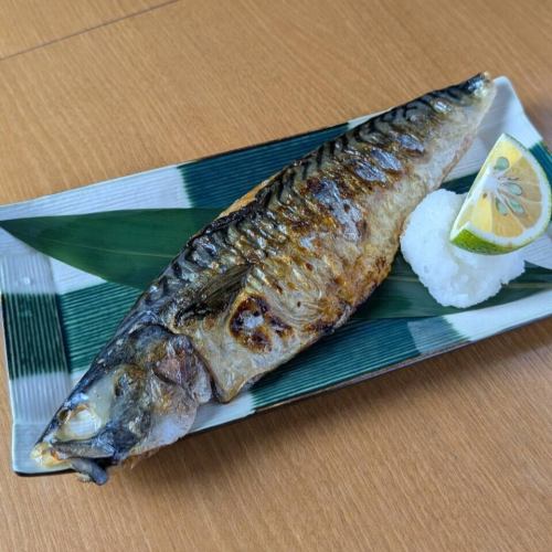 真サバの一夜干し