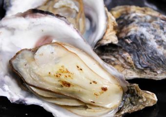 From Senposhi's Murai / Otori-gaki grilled oysters