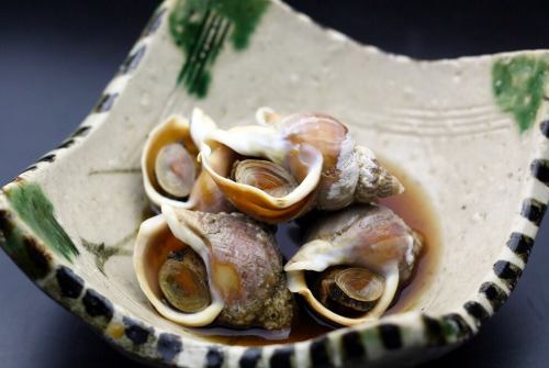 道内各地より ／ 磯つぶ