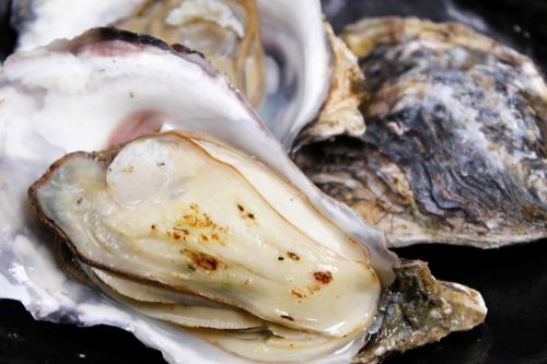 【GW北海道フェア】 仙鳳趾村井さんより ／ 鳳がきの焼きがき（一個）780円→580円 