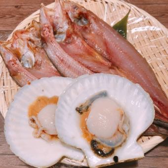 The best catch in Japan! Sarufutsu scallops