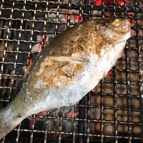 本格炉端焼き！