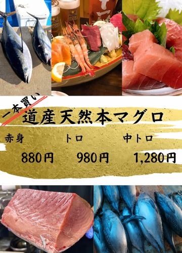 マグロ一本買い！！