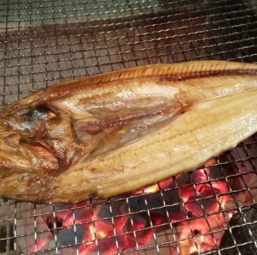 阿特卡鯖魚 1 尾