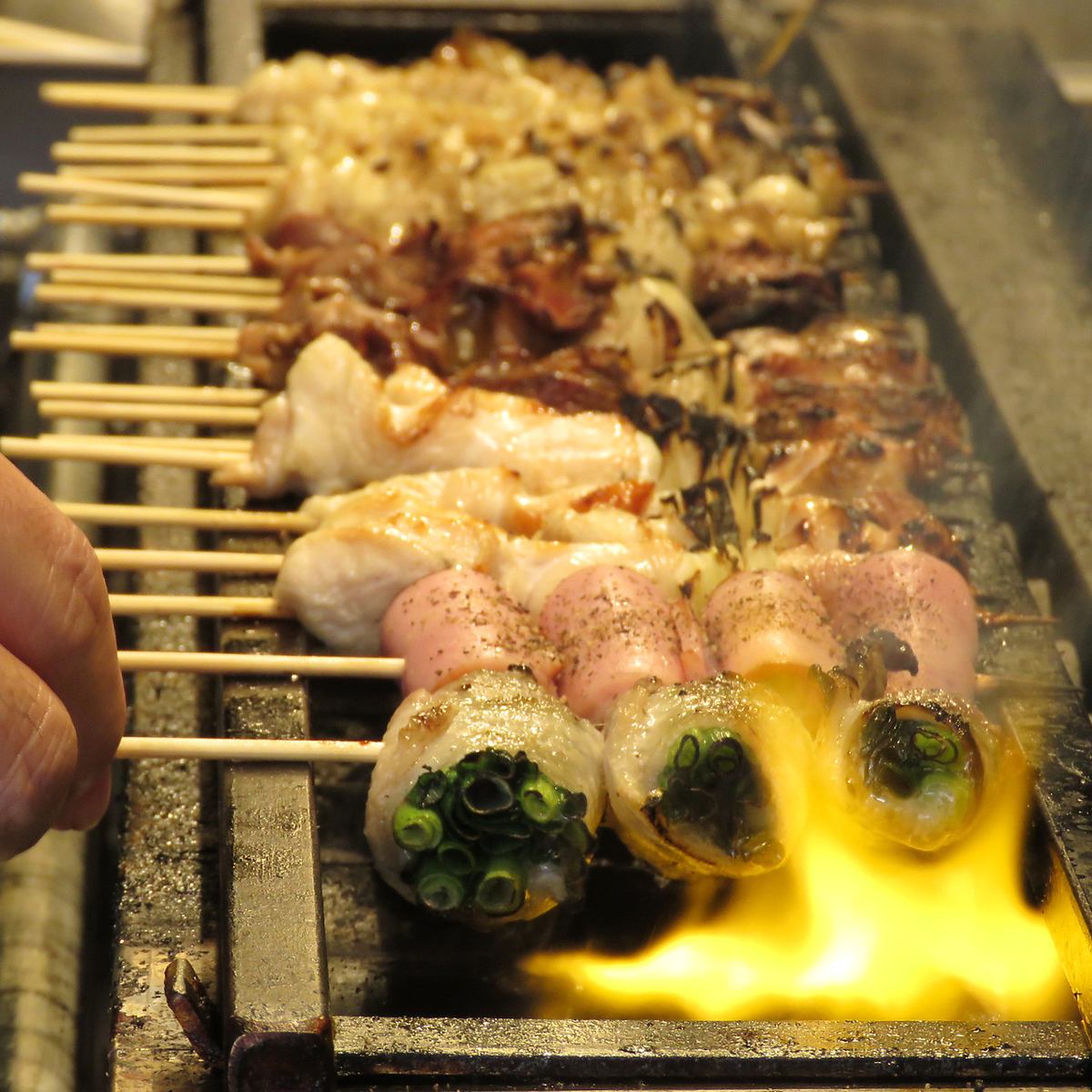 半羽揚げ、焼き鳥等自慢の鶏料理と豊富なお酒をご用意してます♪