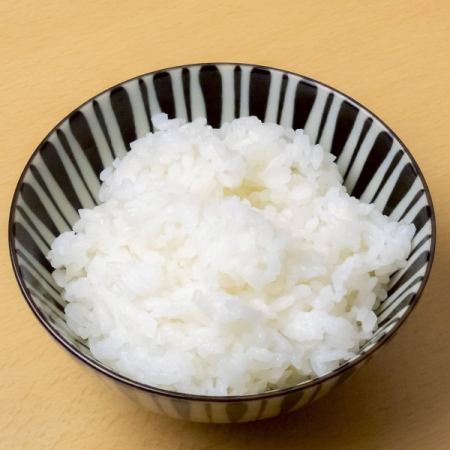 白ごはん