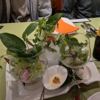 【Party Plan】マルシェプラン